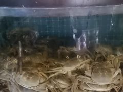 -福禧荟·海鲜自助
