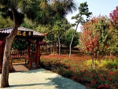 -南京枫彩漫城