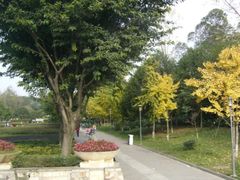 -三圣花乡旅游区