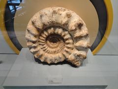 -湖南省地质博物馆