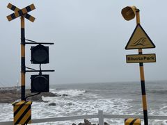 -北戴河碧螺塔海上酒吧公园