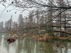 -井之头恩赐公园