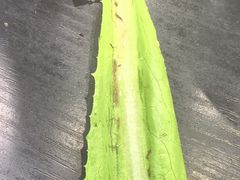 -楼外楼大刀肉传统火锅居(幸福街店)