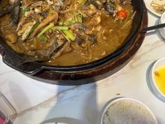 -老板恋上鱼(高新万达店)