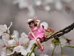 -上海辰山植物园