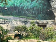 -石排湾郊野公园