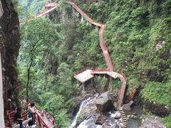 -旗山国家森林公园