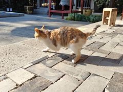 -梦姑塘文化公园