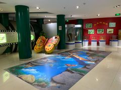 -上海昆虫博物馆