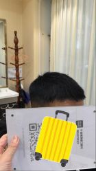 -碧莲盛·不剃发植发