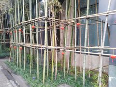 -明谷行馆·温泉