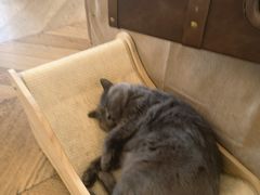 -Me Coffee下午茶艺术空间