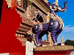 -西双版纳勐泐文化旅游区