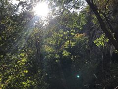 -大连天门山国家森林公园