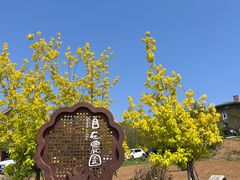 -北马山庄植趣咖啡