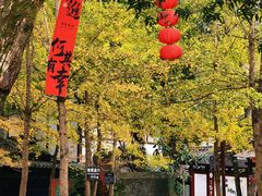 -桂林古东瀑布景区