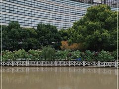 -上海中医药大学附属曙光医院(东部)