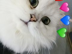 -极木²邸 人与宠物·互动社区