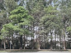 -松山湖风景区松湖烟雨