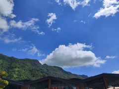 -秦岭天竺山生态文化旅游景区