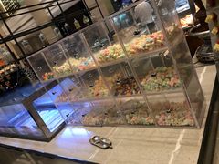 -新发展亚太JW万豪酒店·福苑咖啡厅