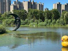 -昆山城市生态森林公园