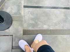 -静园(和平区)