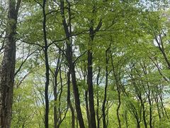 -帽儿山风景区