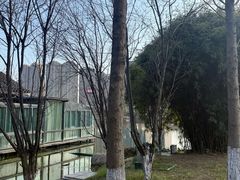 -洋湖国家湿地公园