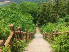 -梁子湖东篱老屋生态庄园