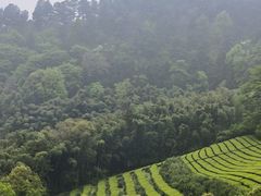 -敬亭山风景名胜区