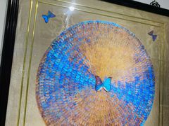 -上海昆虫博物馆