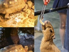 -南昌融创海世界