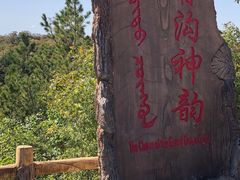 -大青沟风景区