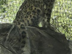-青藏高原野生动物园