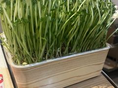 -海底捞火锅(海悦天地店)