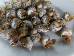 白灼花螺-源海渔村·现捞海鲜(大角湾店)