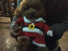 iphone_upload_pic-赢吧Bliss音乐酒吧
