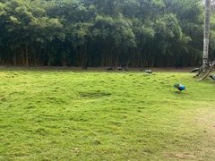-深圳野生动物园