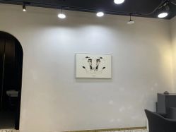 -A梦造型