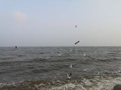 -兴城海滨风景区