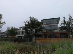 -田园东方蜜桃村的田野营地