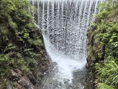 -大奇山国家森林公园