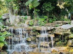 -东莞植物园