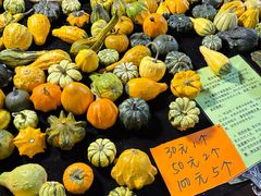 -特克斯八卦城