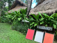 -大象粑粑造纸公园