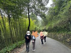 -都江堰中华大熊猫苑