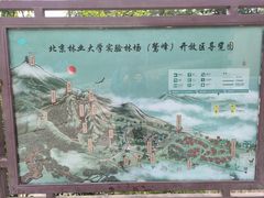 -北京鹫峰国家森林公园