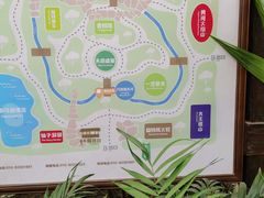 -南宫五洲植物乐园