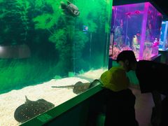 -常州海昌海洋探索馆